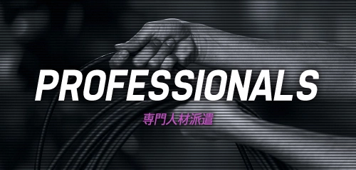 専門人材派遣
